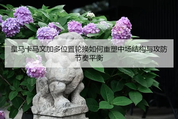 皇马卡马文加多位置轮换如何重塑中场结构与攻防节奏平衡（kaiyun）